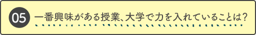 一番興味がある授業、大学で力を入れていることは？